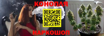 гидра Кингисепп