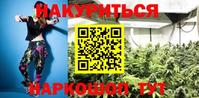 гидра Кингисепп