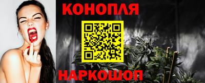 гидра Кингисепп