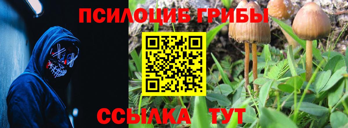 Чусовой  Галлюциногенные грибы прущие грибы  Вход с VPN 